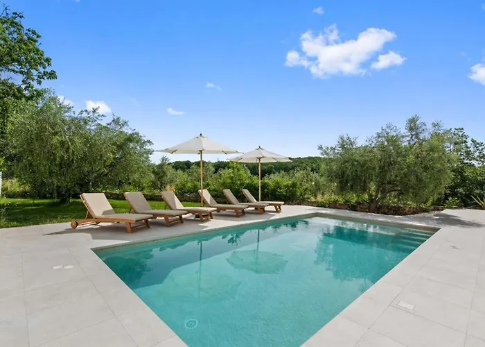 Vintiana * Πούλα