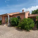 Vintiana فيلة